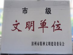 喜訊！公司榮獲“市級(jí)文明單位”稱號(hào)