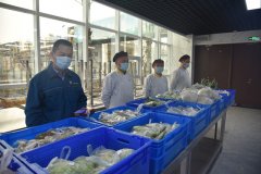 戰(zhàn)疫故事:把菜市場(chǎng)搬進(jìn)食堂 解決員工后顧之憂(yōu)